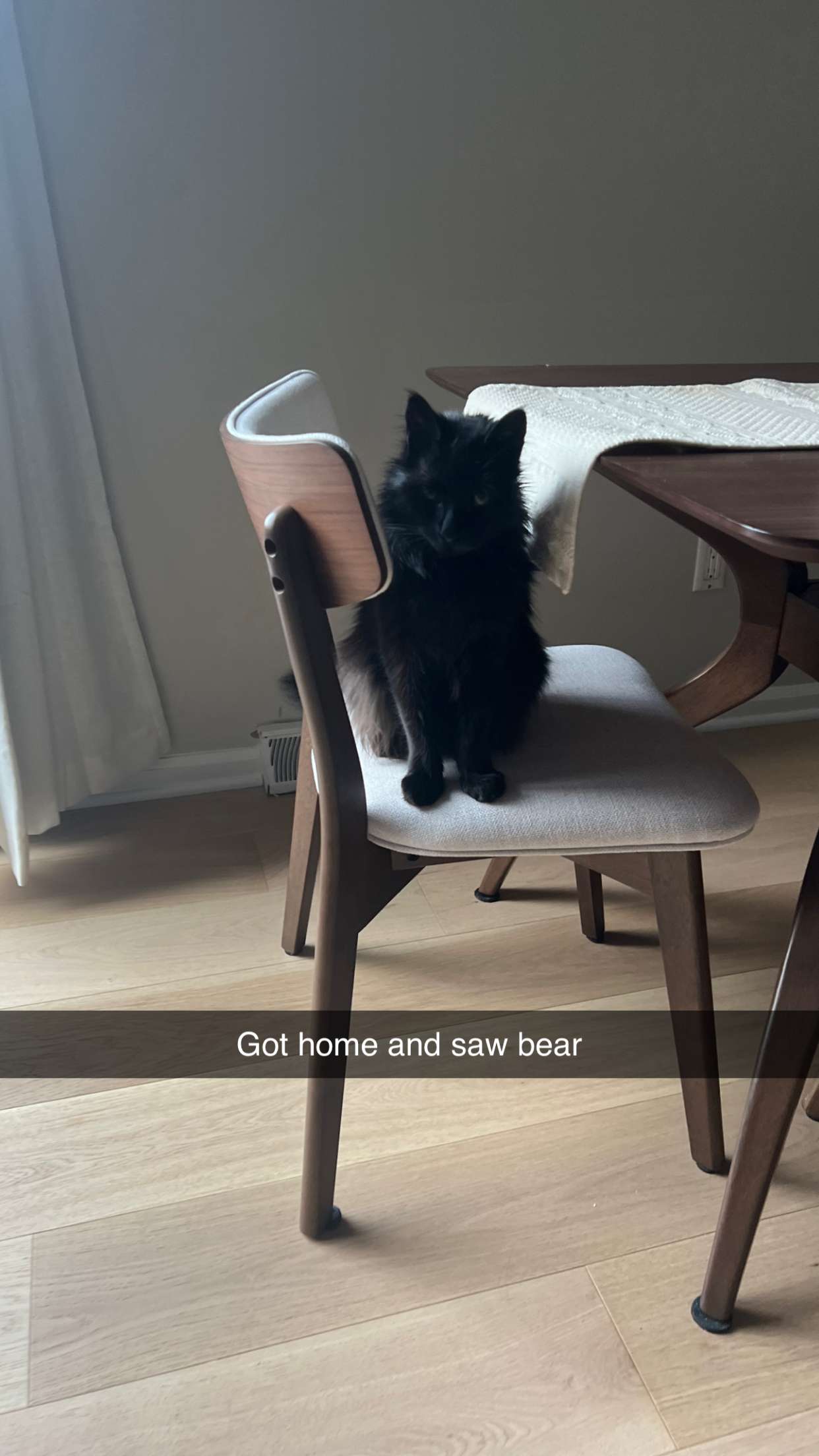 carmmieecat snapchat image archive image