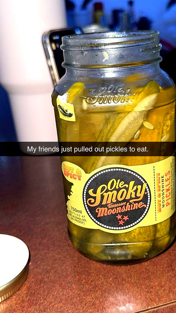 carmmieecat image ~ Altpins