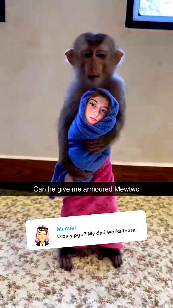 carmmieecat image ~ Altpins