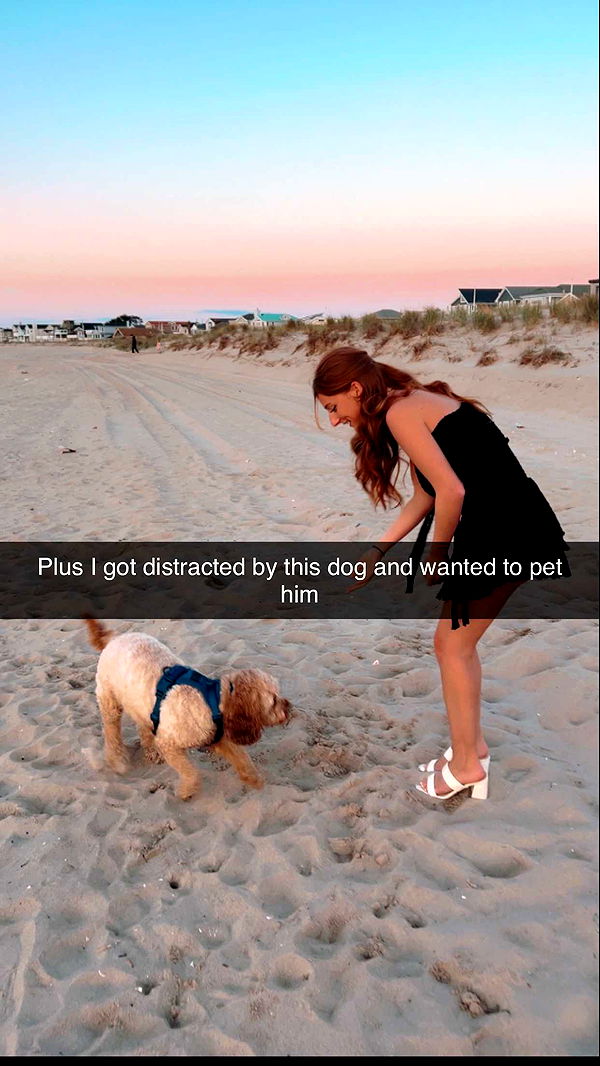 carmmieecat image ~ Altpins