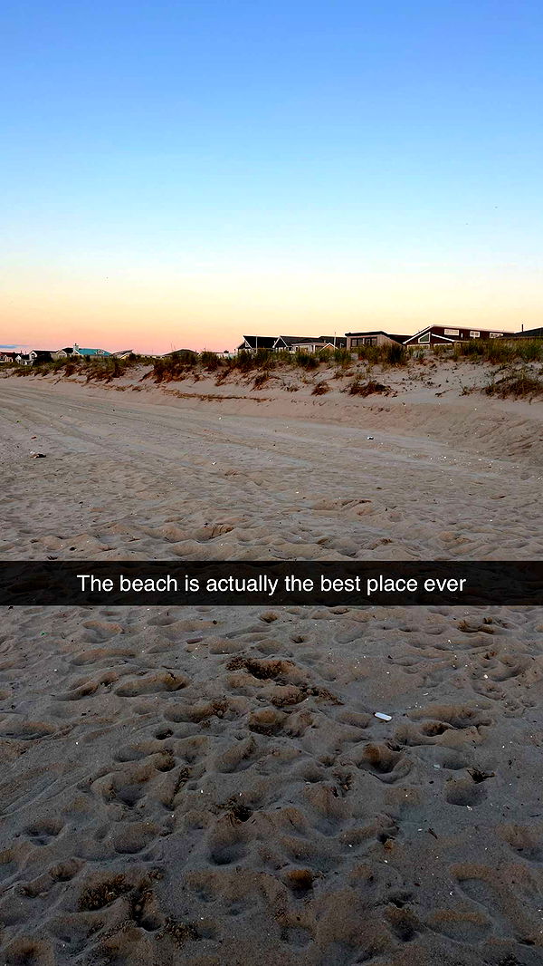 carmmieecat image ~ Altpins