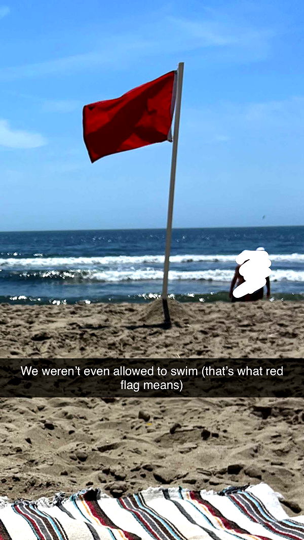 carmmieecat image ~ Altpins