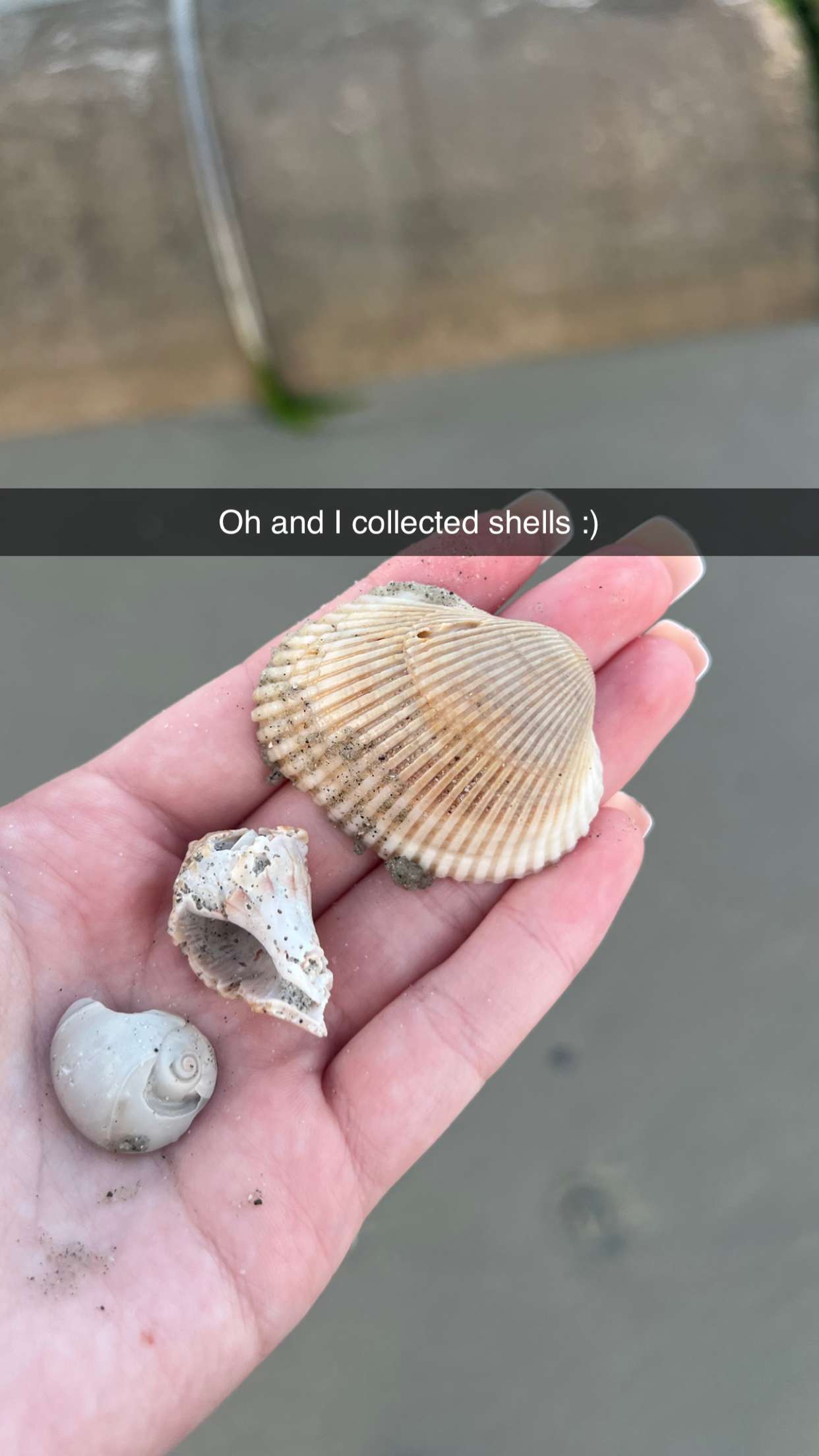 carmmieecat snapchat image archive image