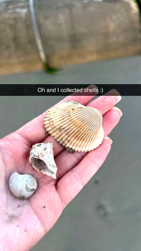 carmmieecat image ~ Altpins