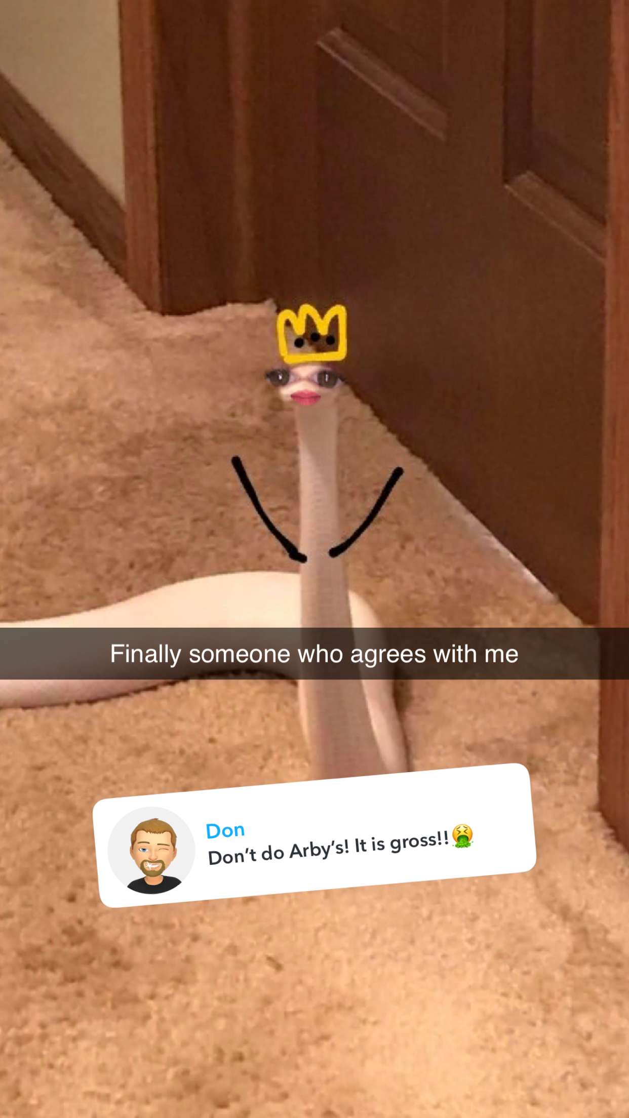 carmmieecat snapchat image archive image