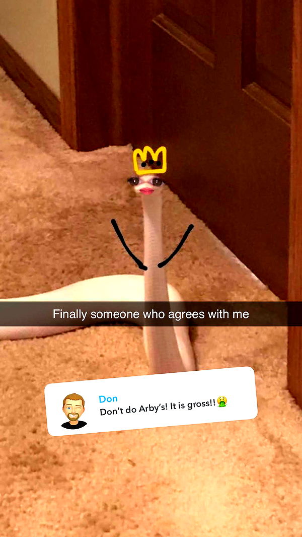 carmmieecat image ~ Altpins