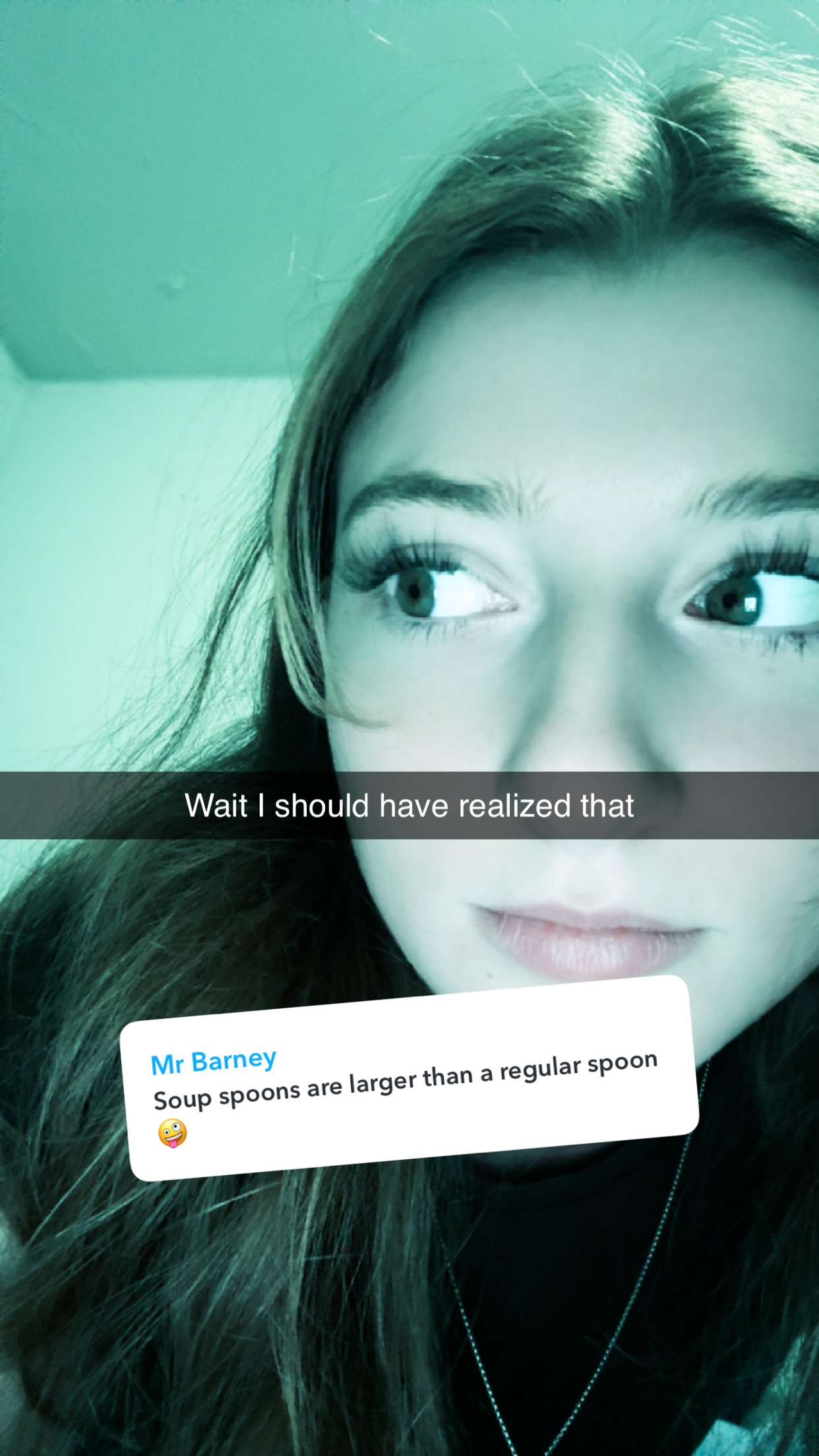 carmmieecat snapchat image archive image