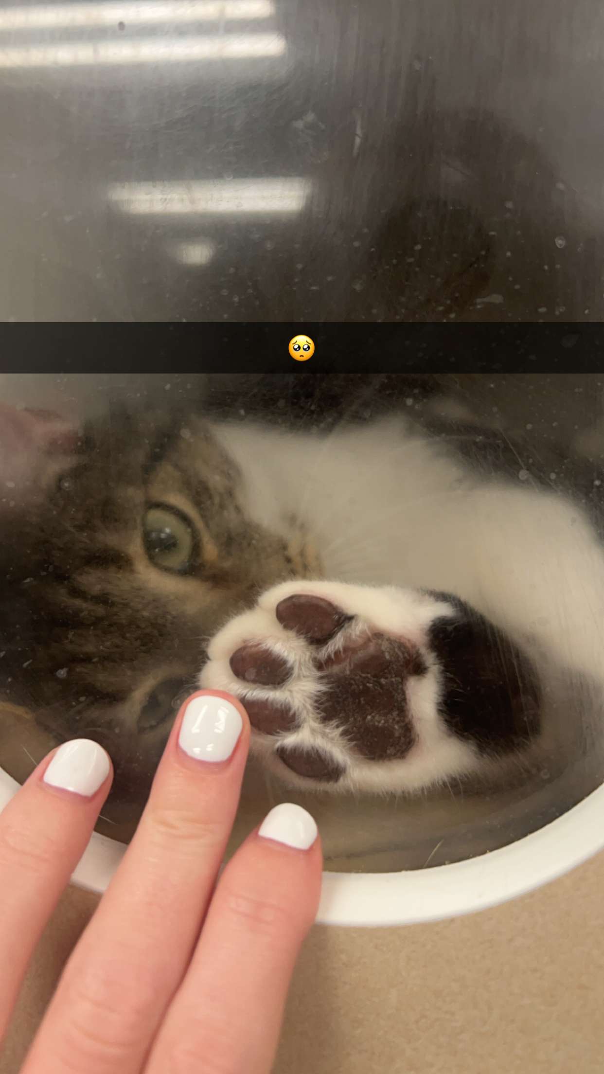 carmmieecat snapchat image archive image