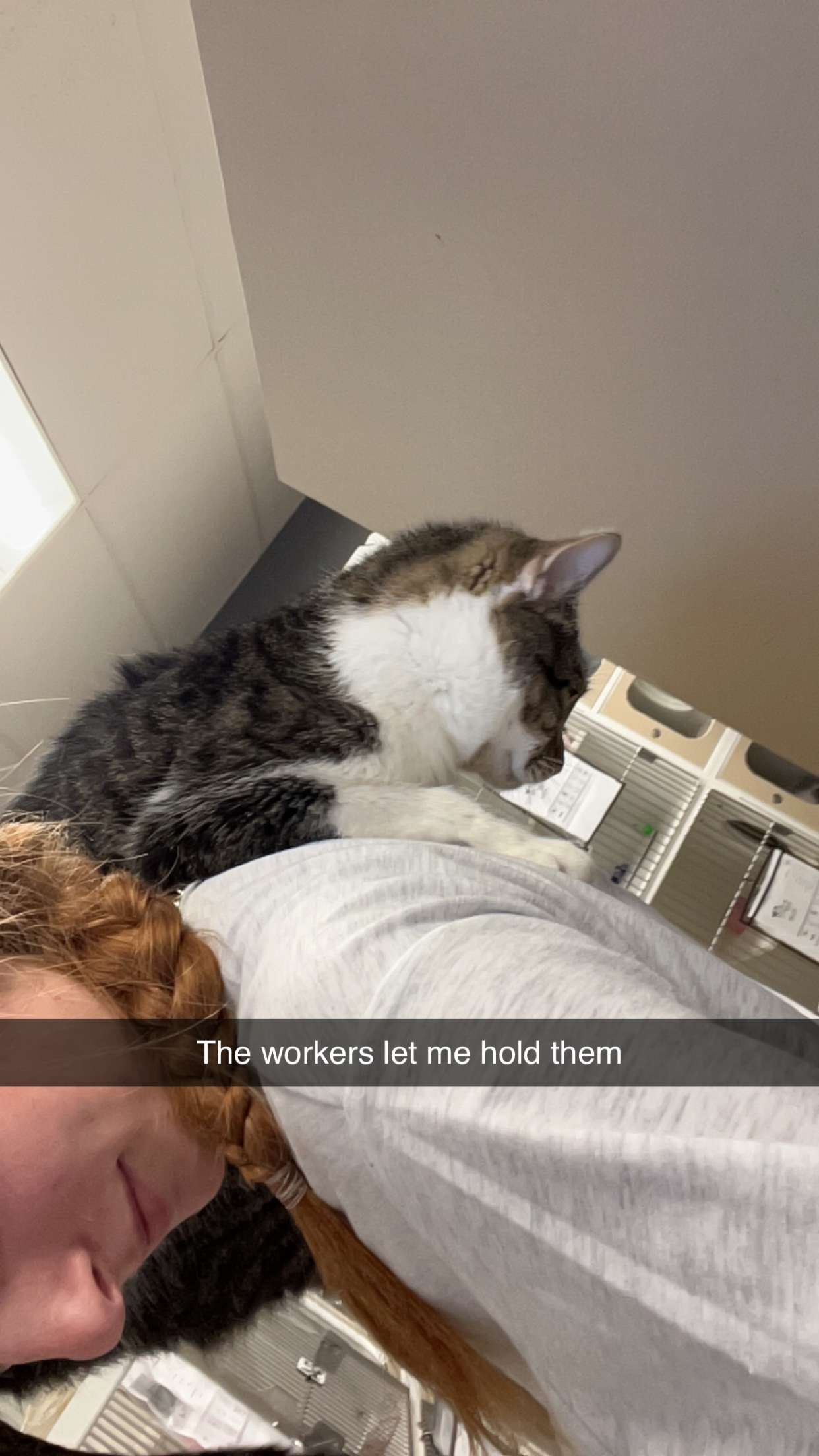 carmmieecat snapchat image archive image