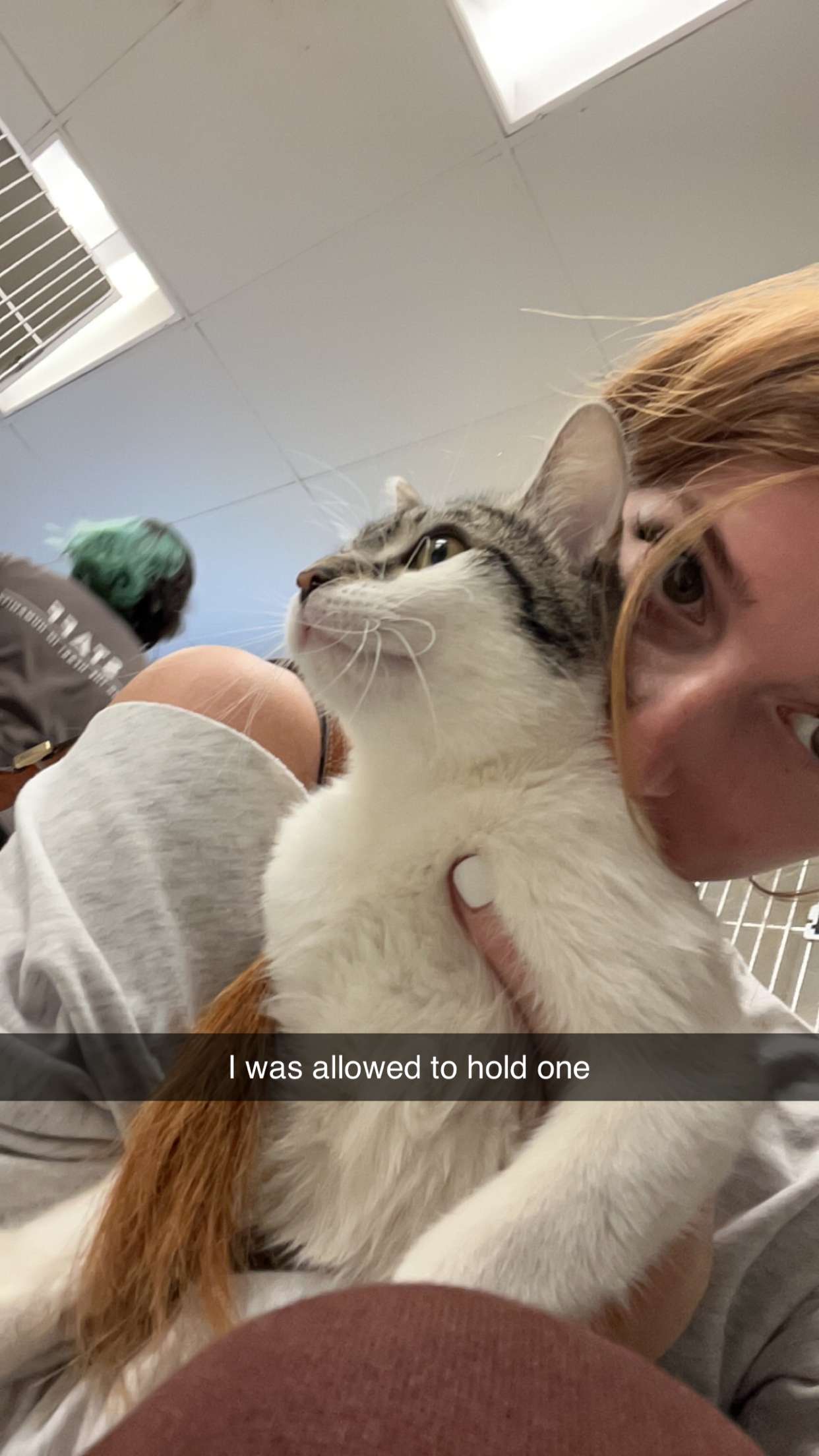 carmmieecat snapchat image archive image