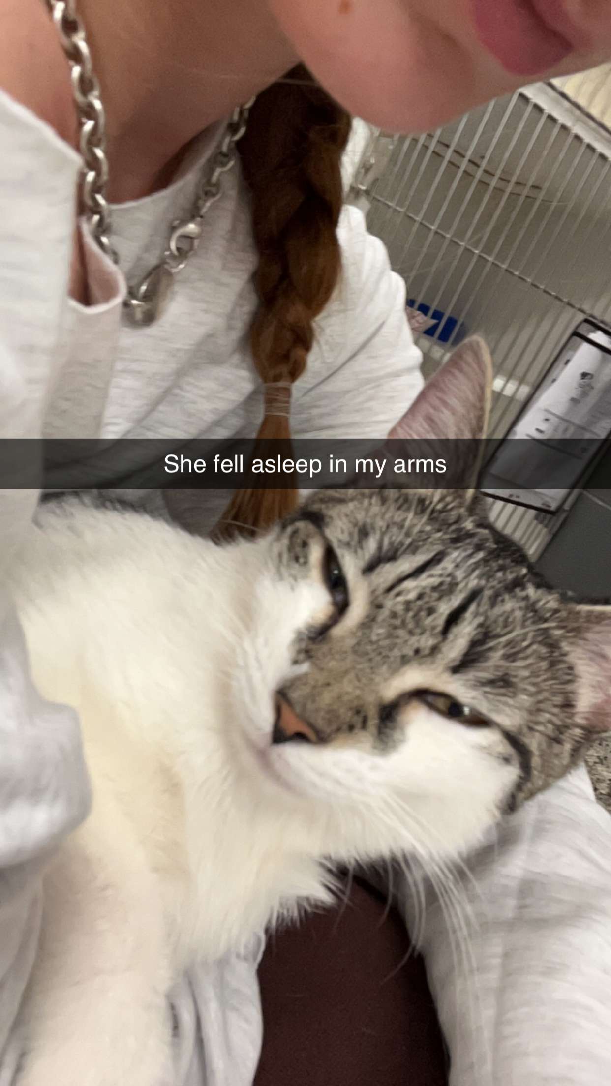 carmmieecat snapchat image archive image