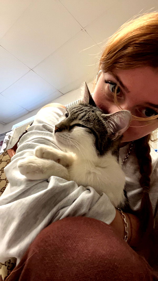 carmmieecat image ~ Altpins