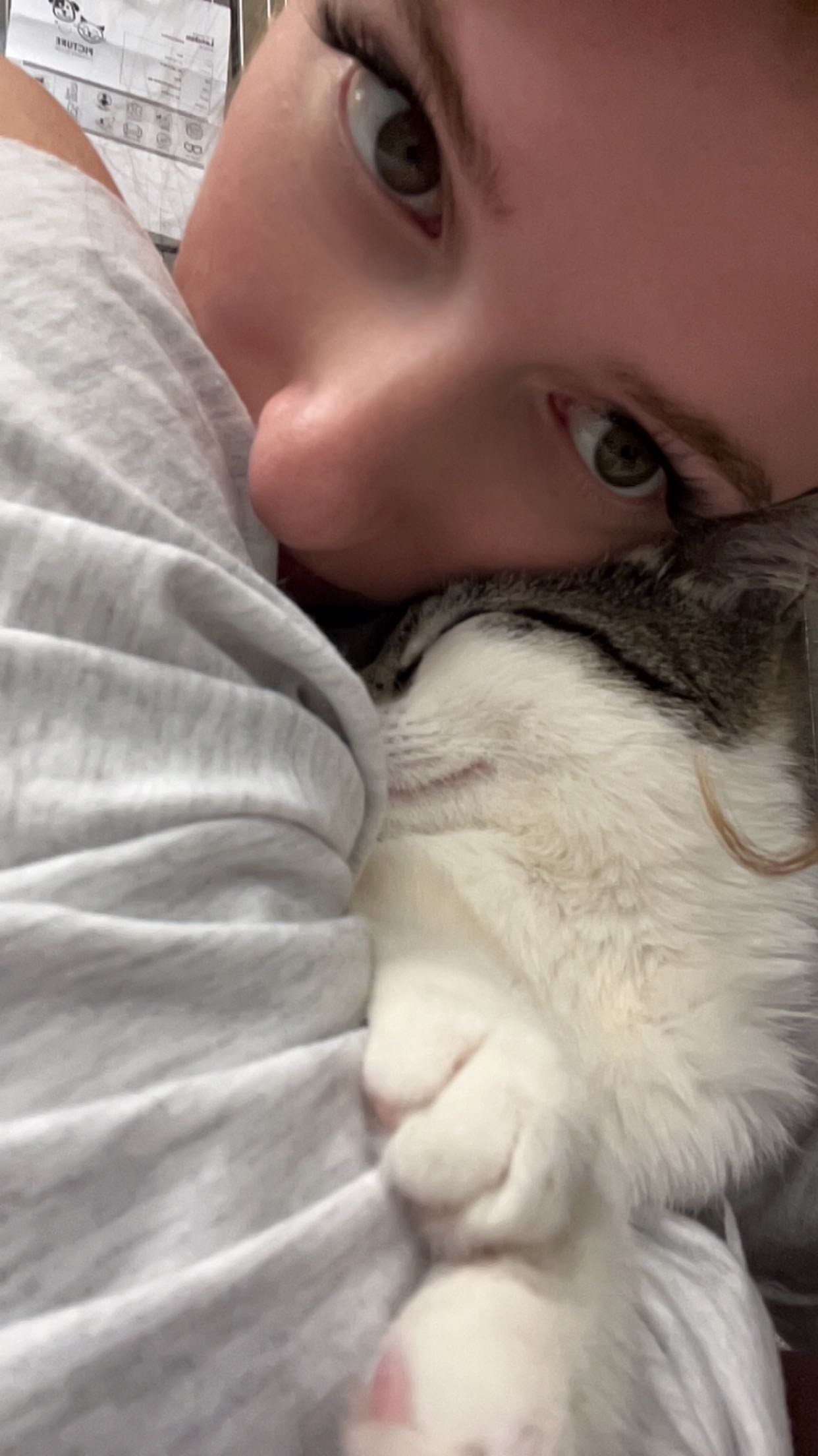 carmmieecat snapchat image archive image