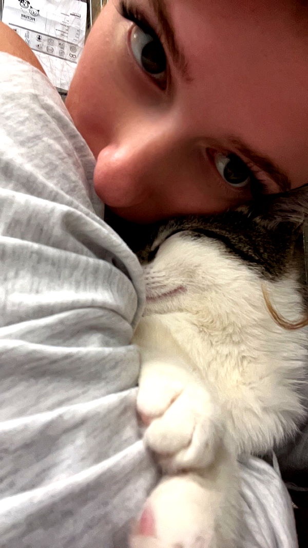 carmmieecat image ~ Altpins