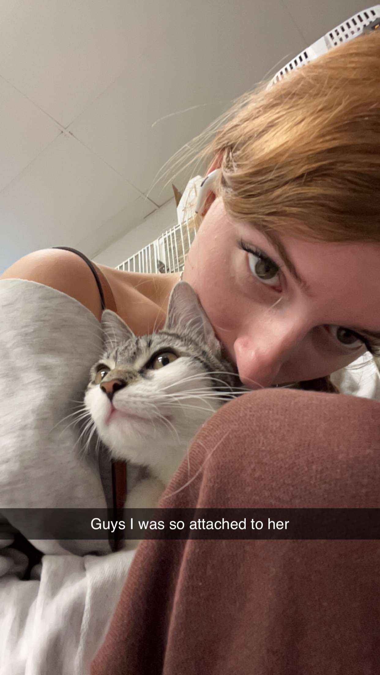 carmmieecat snapchat image archive image