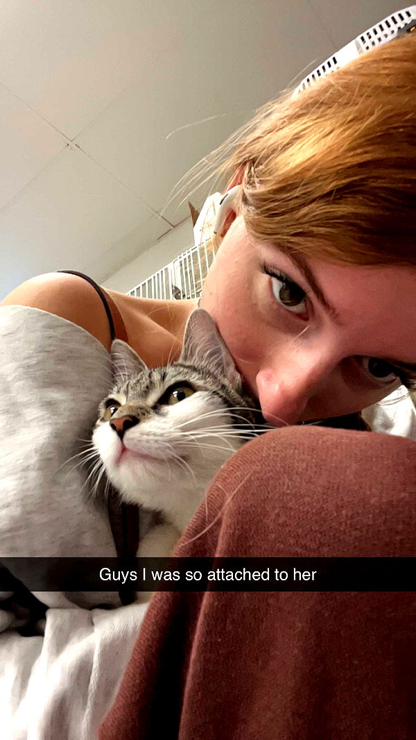 carmmieecat image ~ Altpins