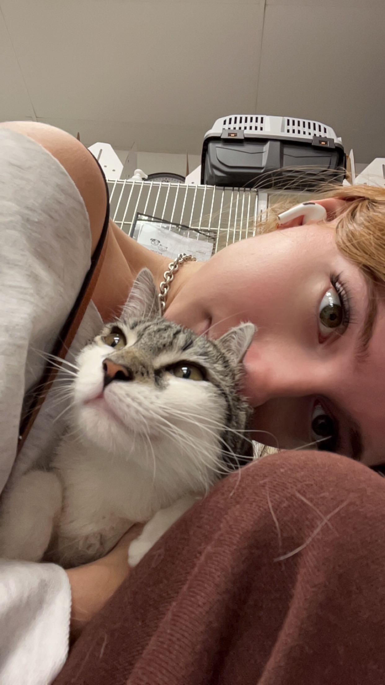 carmmieecat snapchat image archive image