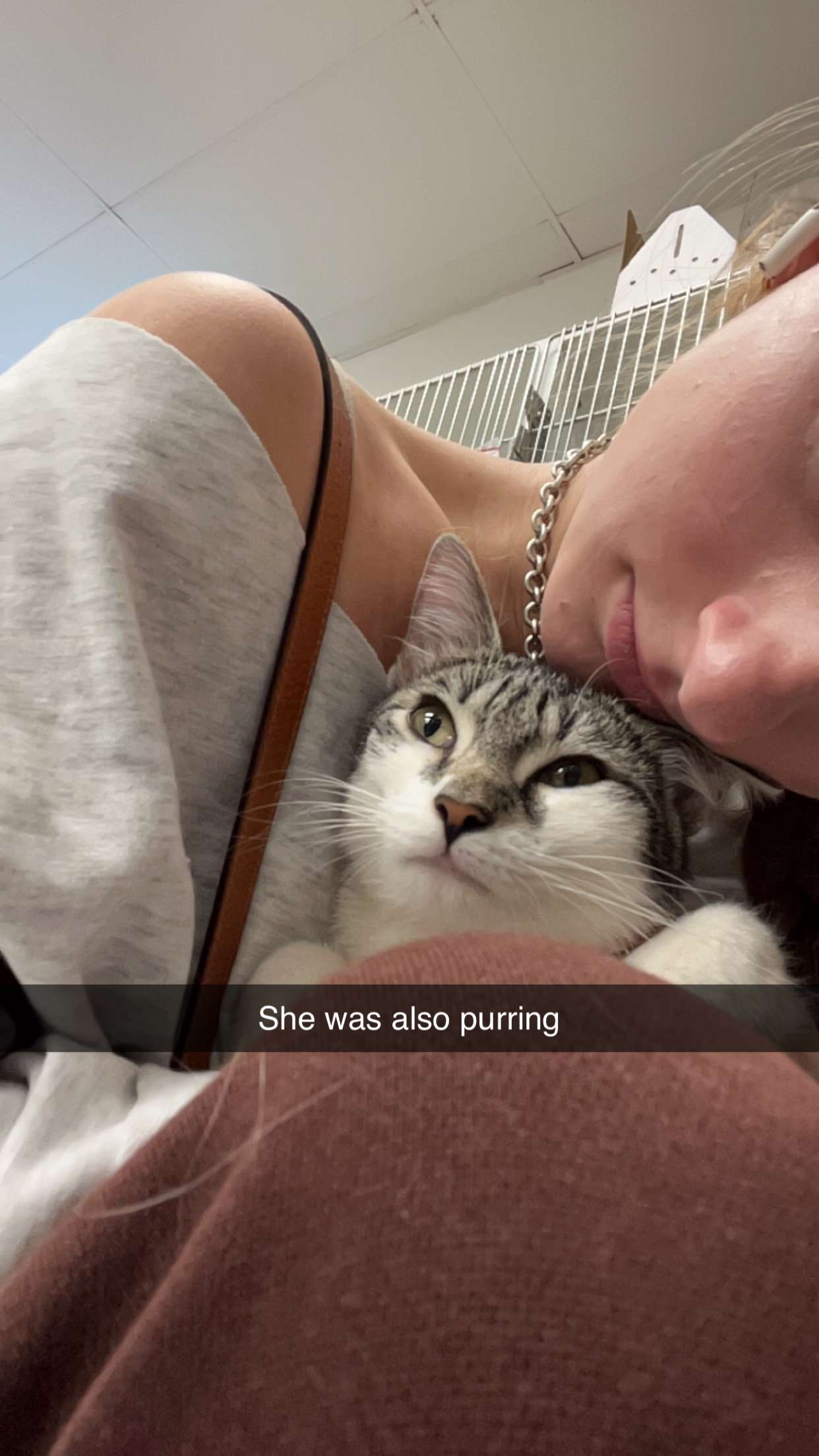 carmmieecat snapchat image archive image