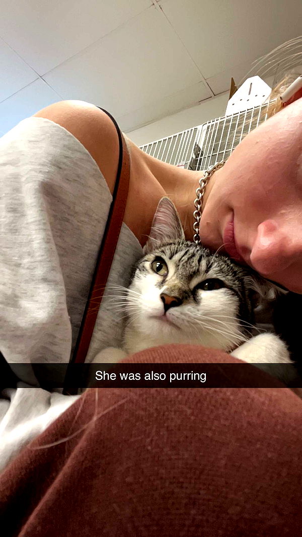 carmmieecat image ~ Altpins