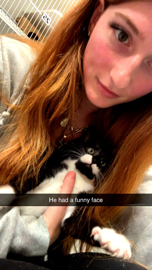 carmmieecat image ~ Altpins