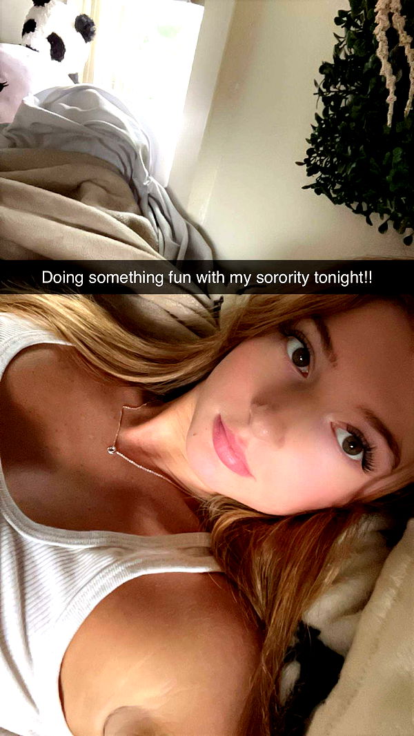 carmmieecat image ~ Altpins