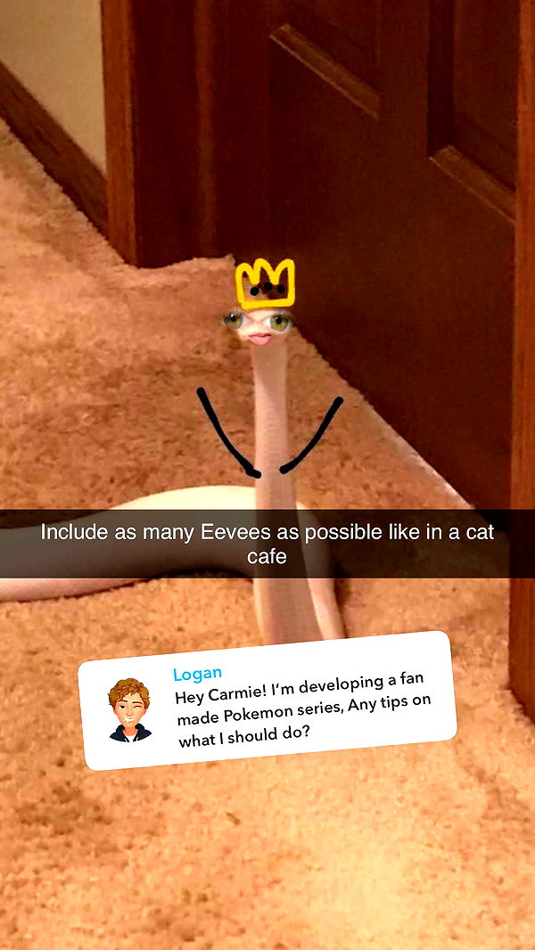 carmmieecat image ~ Altpins