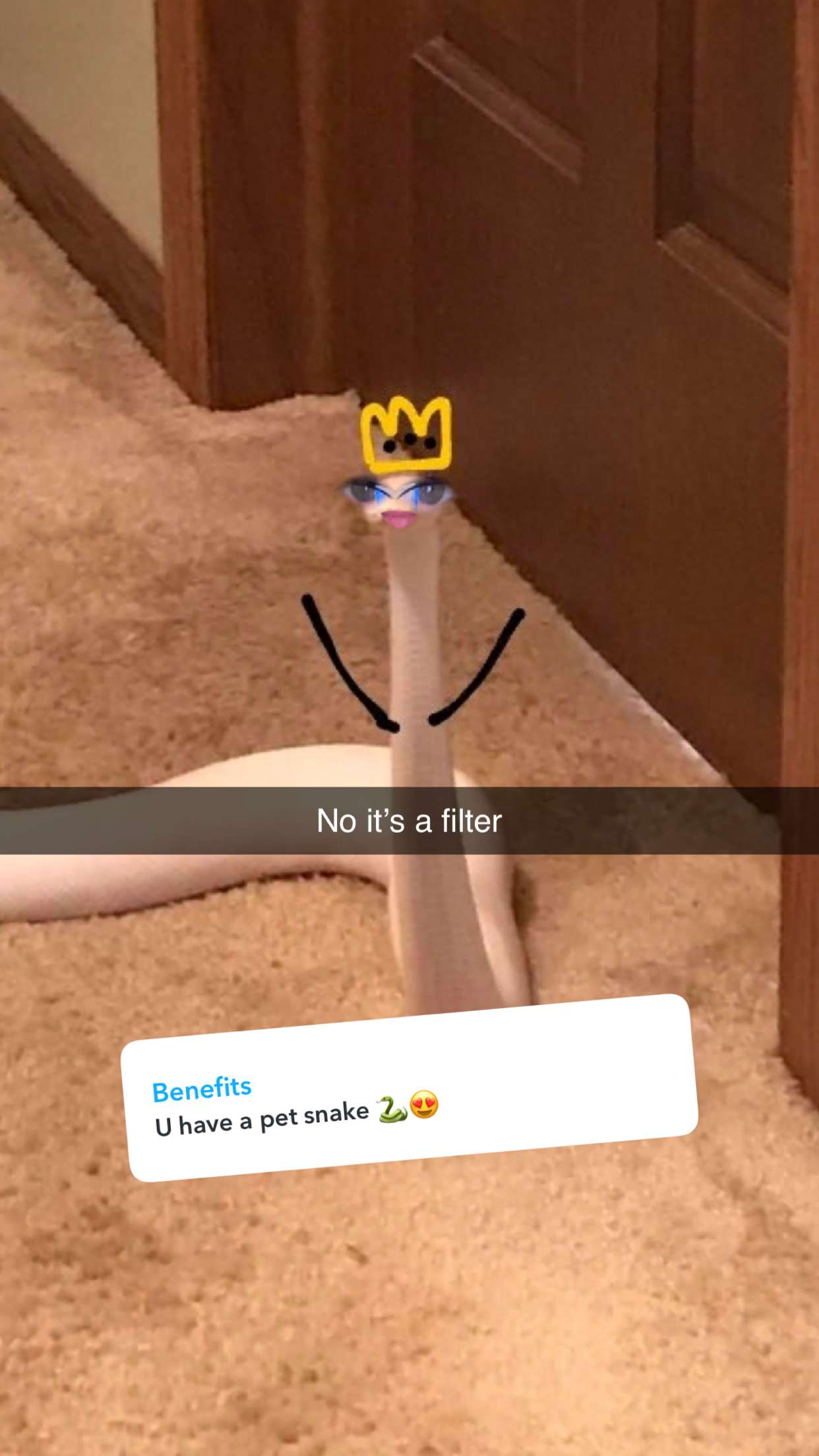 carmmieecat snapchat image archive image