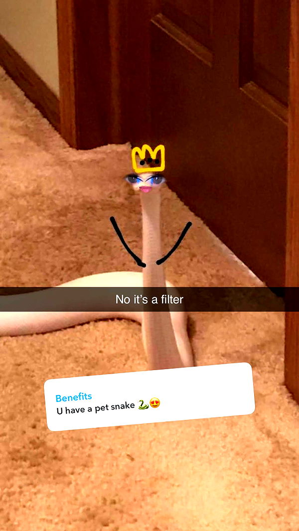 carmmieecat image ~ Altpins