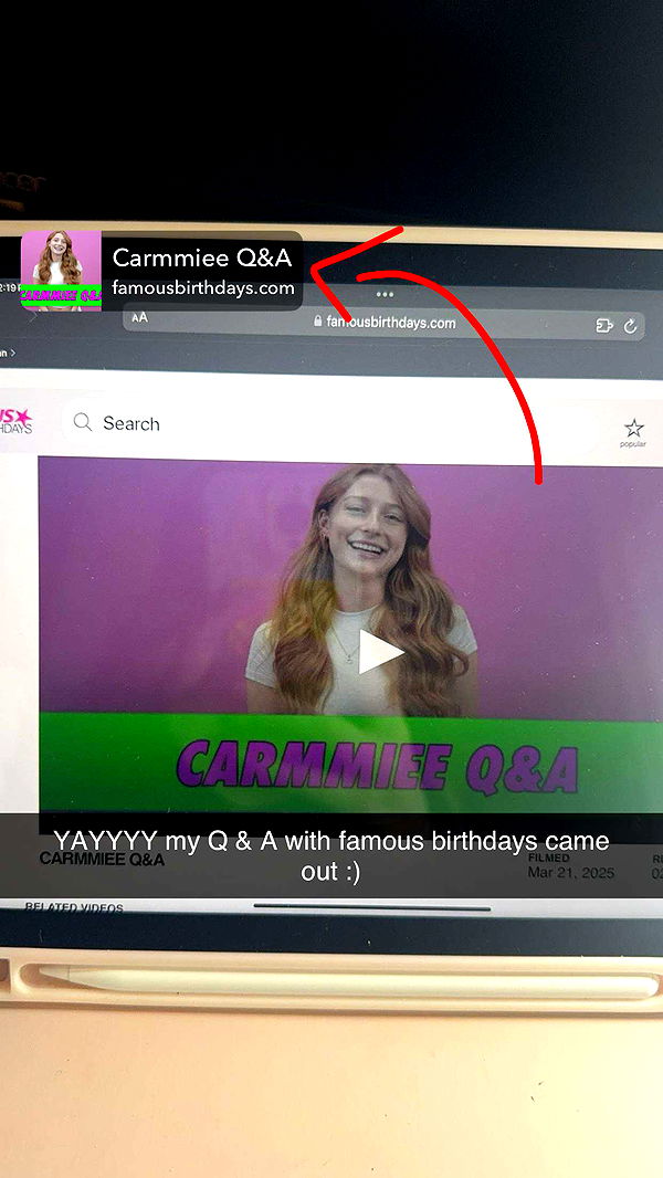 carmmieecat image ~ Altpins