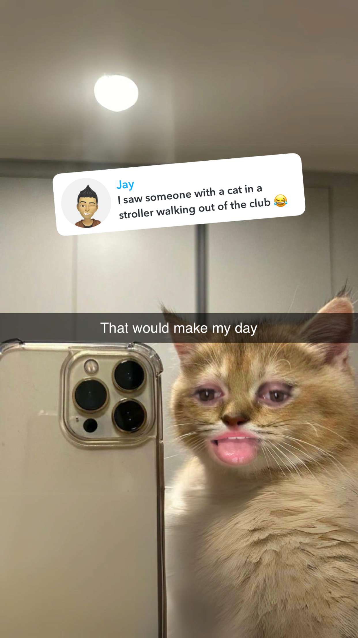 carmmieecat snapchat image archive image