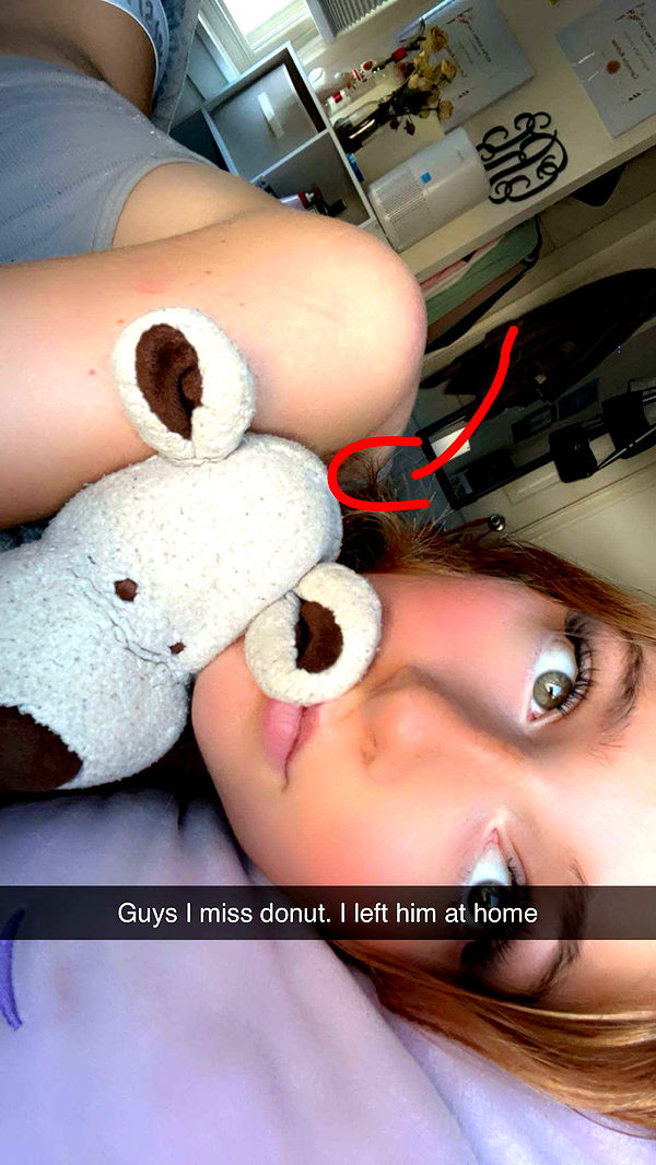 carmmieecat image ~ Altpins