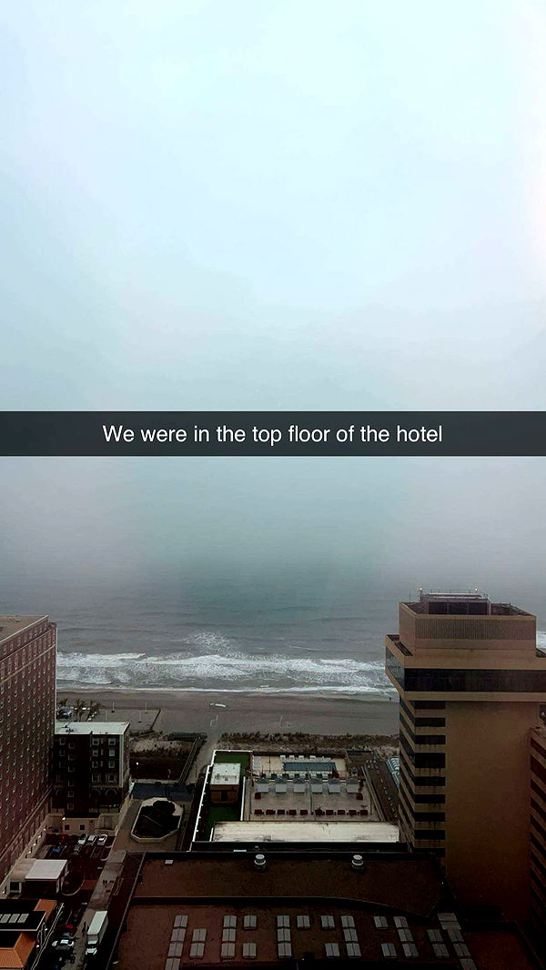 carmmieecat image ~ Altpins