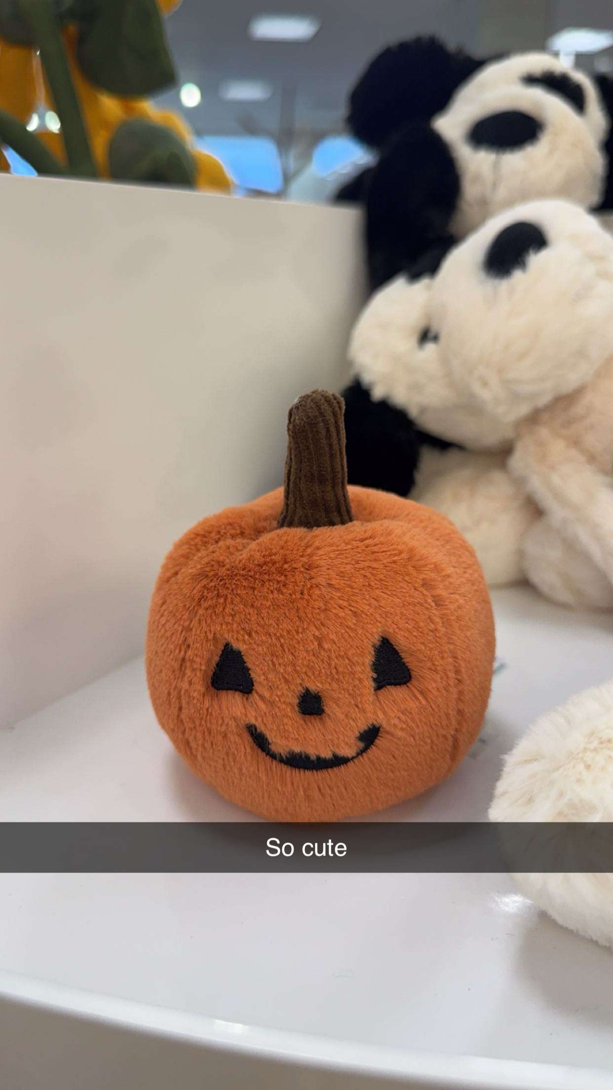 carmmieecat snapchat image archive image