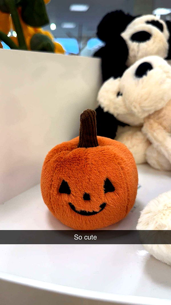 carmmieecat image ~ Altpins