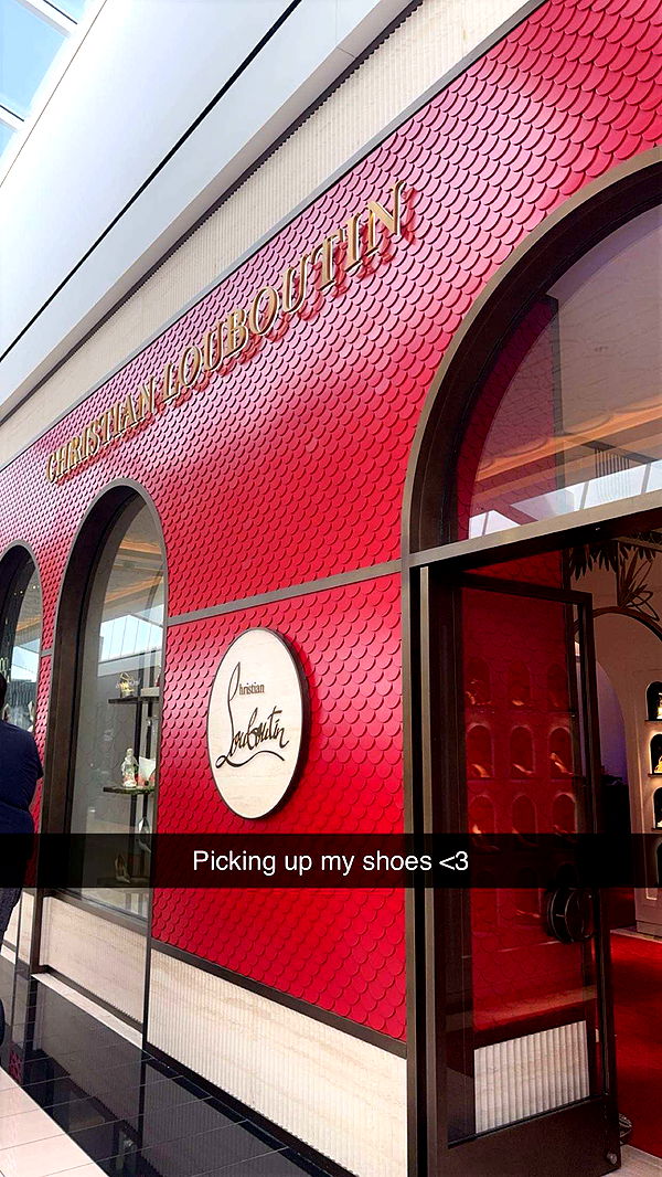 carmmieecat image ~ Altpins