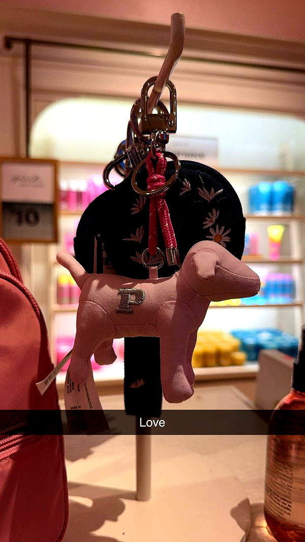 carmmieecat image ~ Altpins