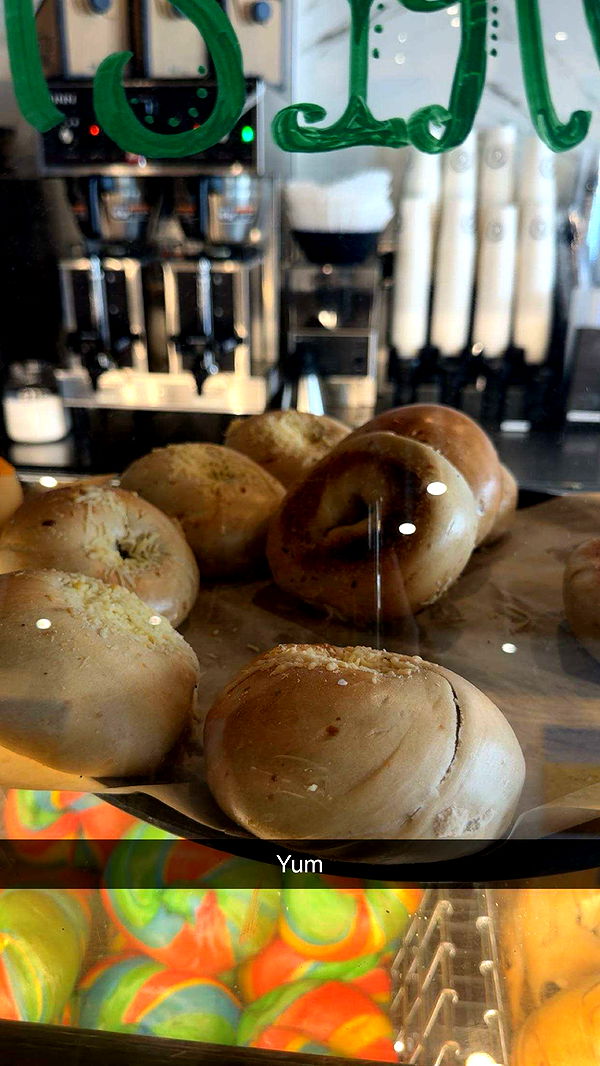 carmmieecat image ~ Altpins