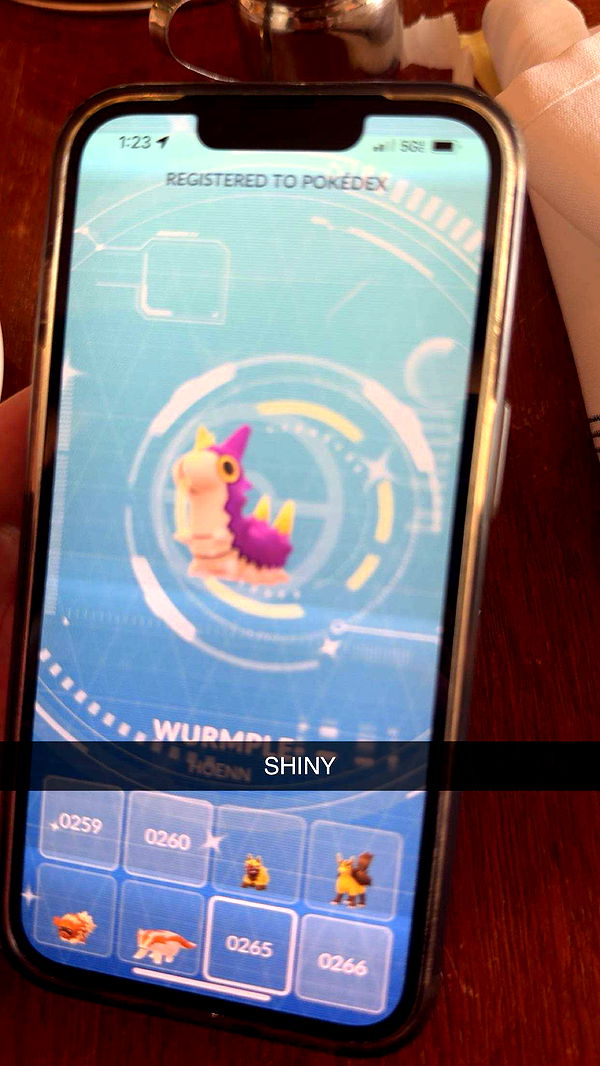 carmmieecat image ~ Altpins