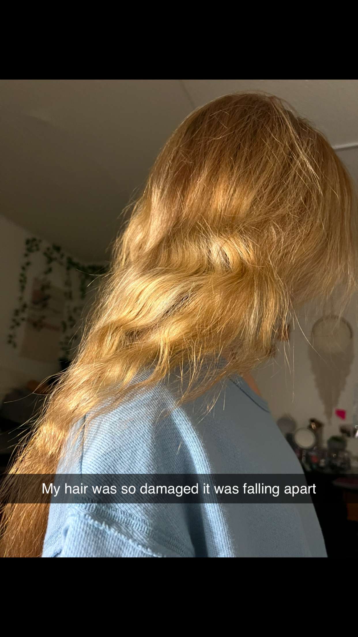 carmmieecat snapchat image archive image