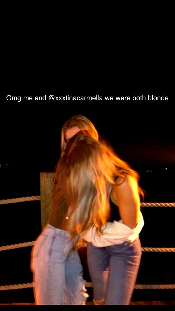 carmmieecat image ~ Altpins