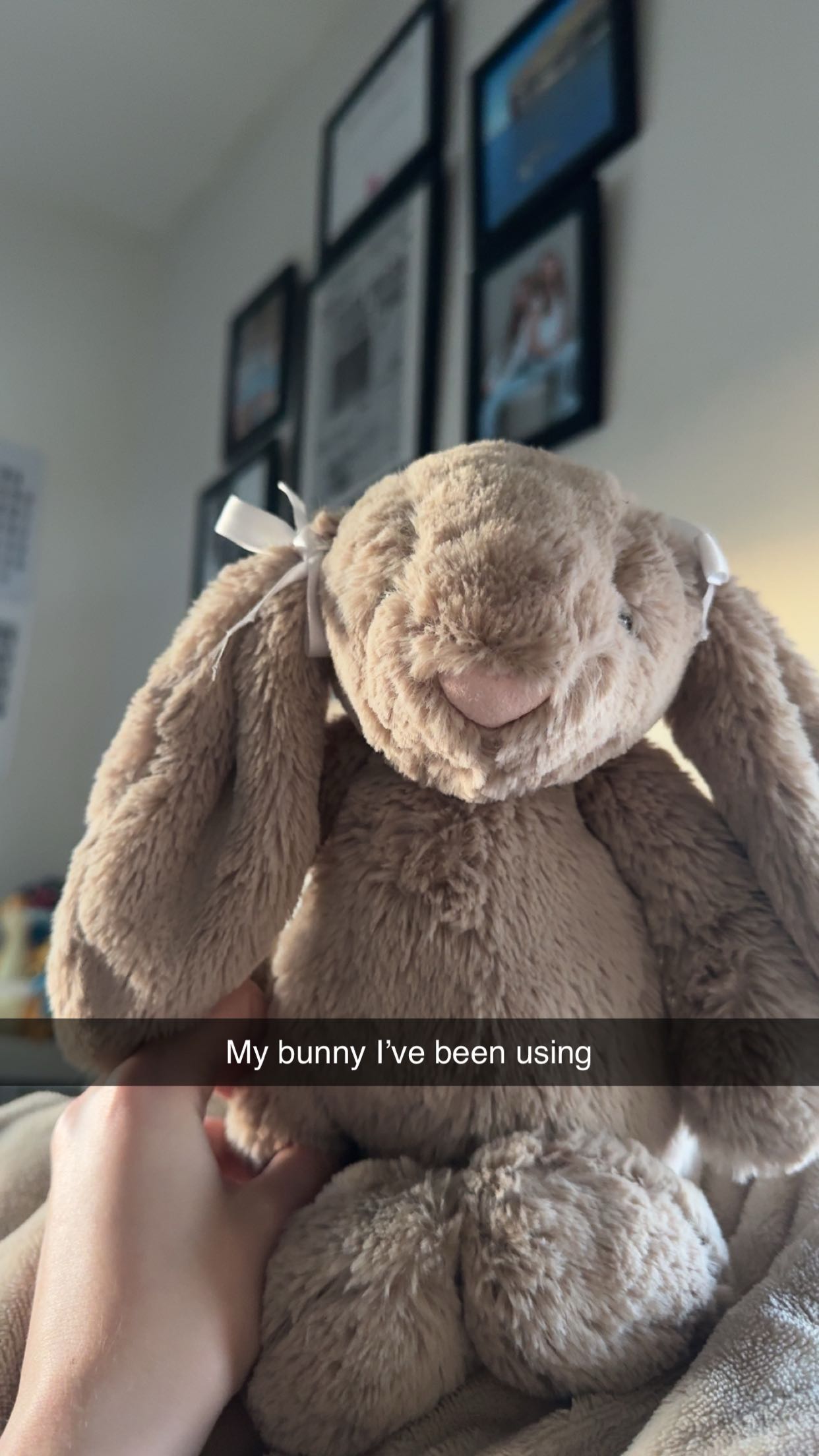 carmmieecat snapchat image archive image