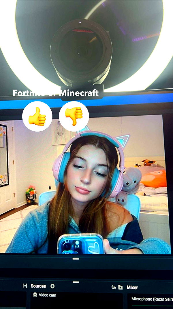 carmmieecat image ~ Altpins