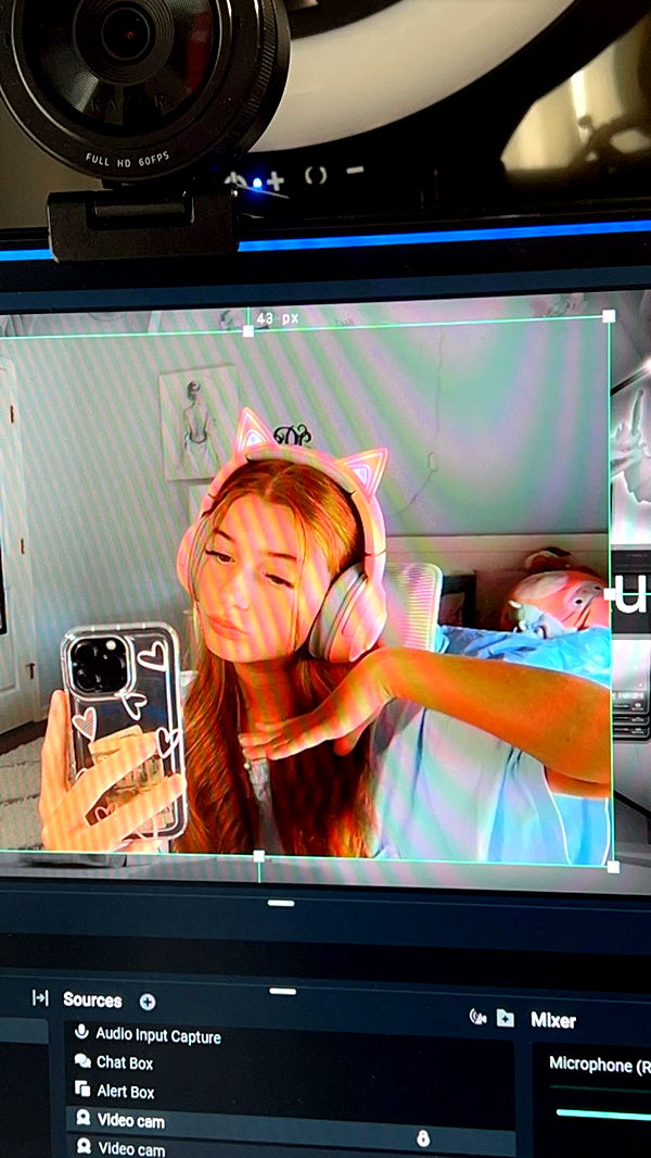 carmmieecat image ~ Altpins