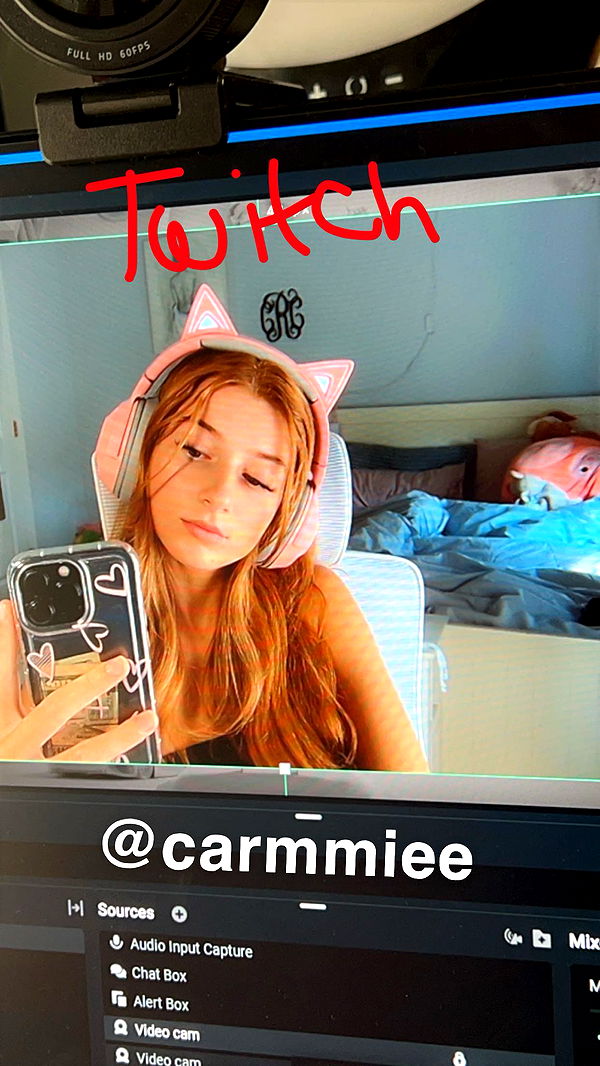 carmmieecat image ~ Altpins