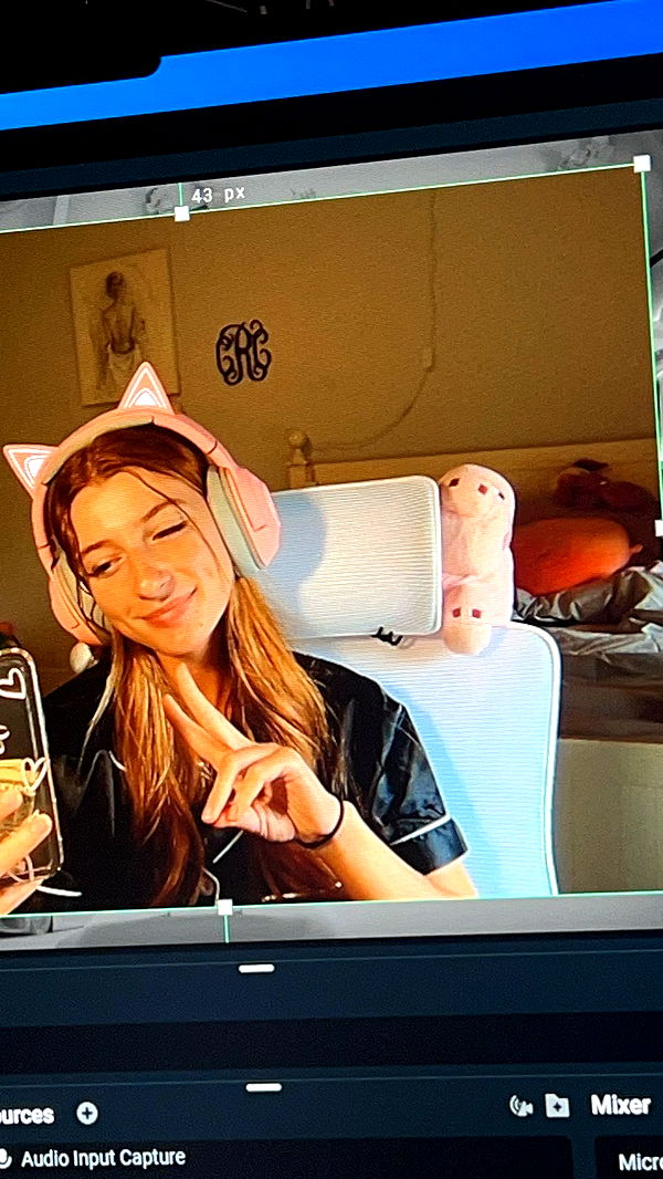 carmmieecat image ~ Altpins