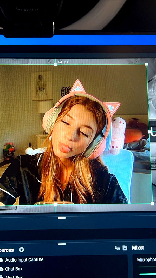 carmmieecat image ~ Altpins