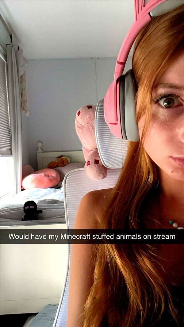 carmmieecat image ~ Altpins