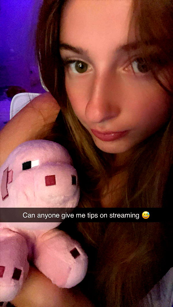 carmmieecat image ~ Altpins