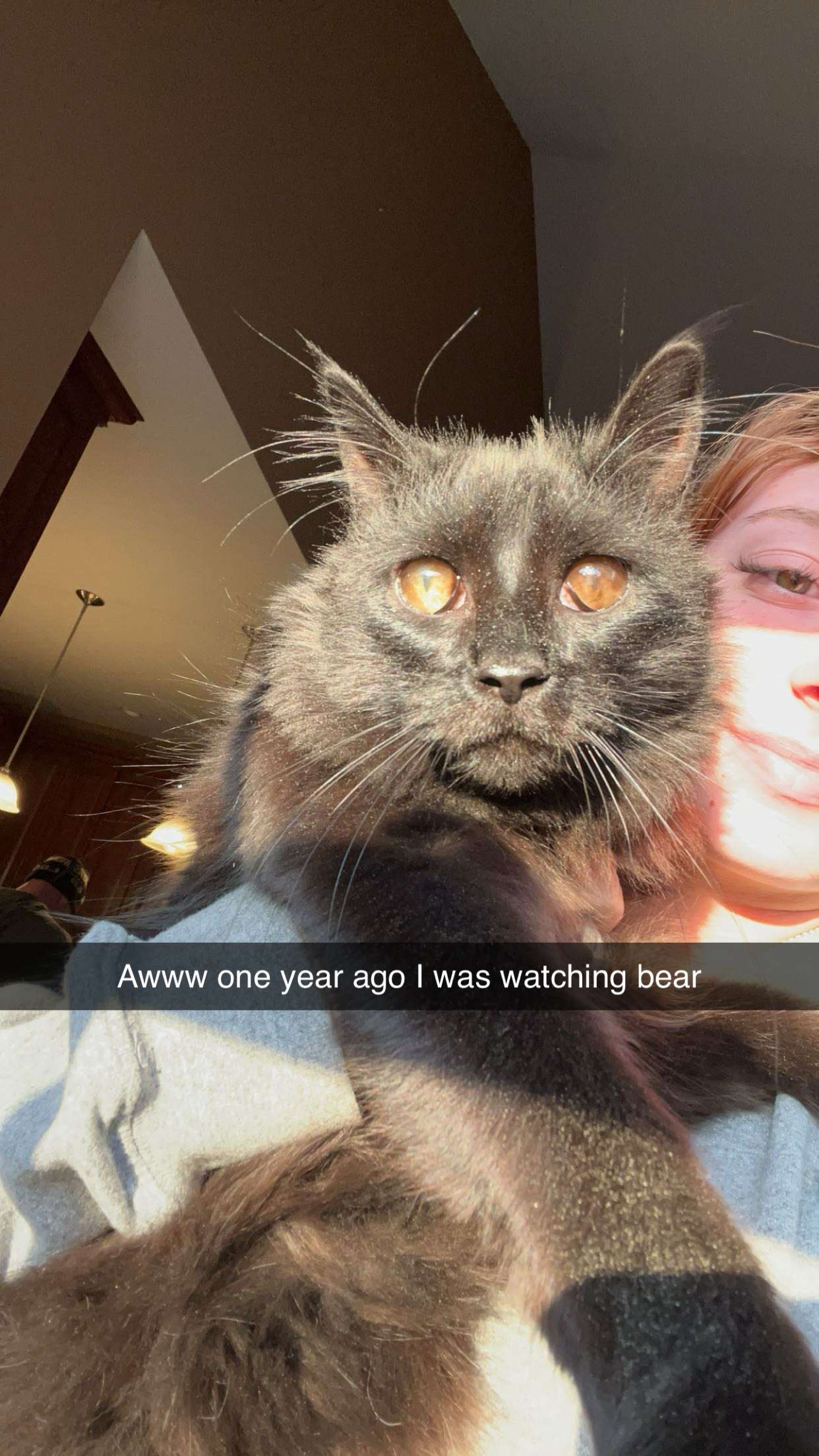 carmmieecat snapchat image archive image