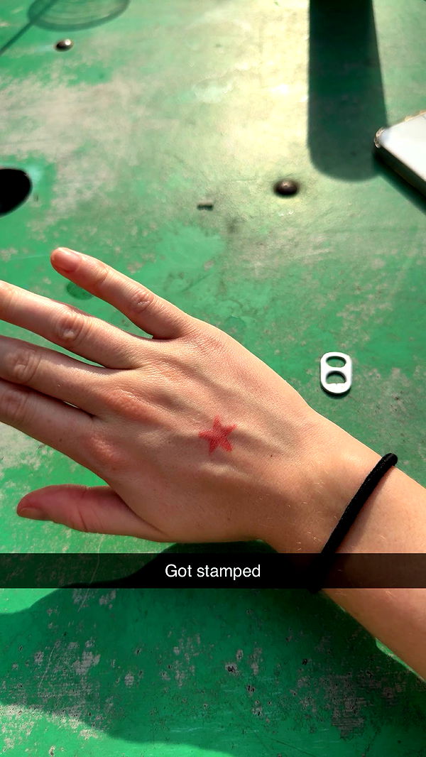 carmmieecat image ~ Altpins